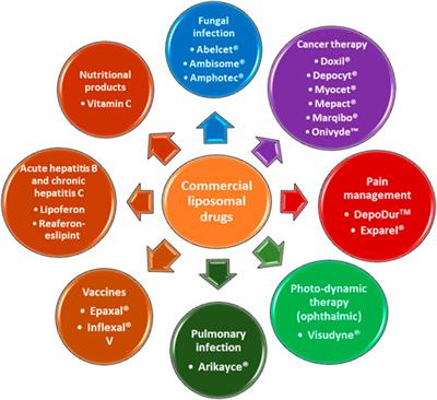 Regulatory Considerations Specific to Liposome Drug Development as Complex Drug Products